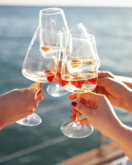 Evento esclusivo in motoscafo: Punta San Vigilio e Garda da San Felice 6